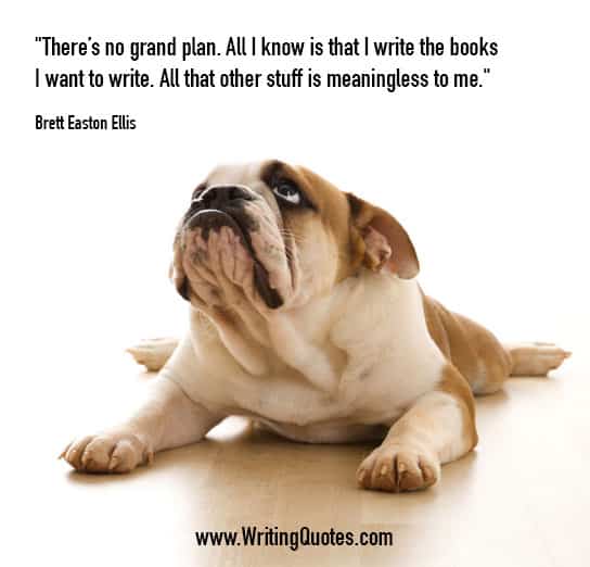 Brett Easton Ellis Quotes – Stuff Meaningless – Inspirational Writing Quotes